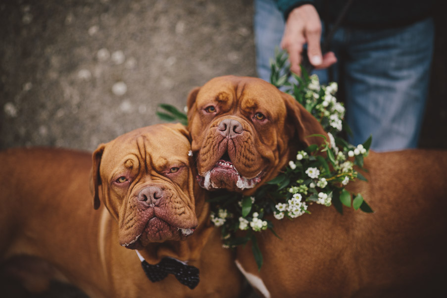 aoibhin_garrihy_and_john_burke_wedding-93